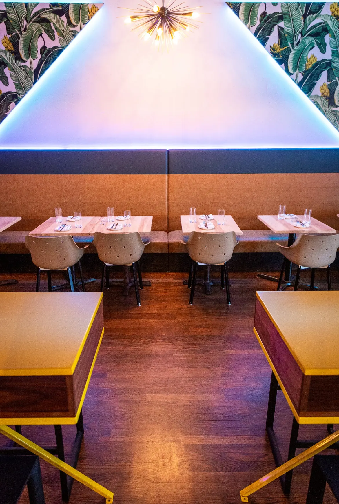 Tables along the banquette beneath a lit wall and palm wallpaper.