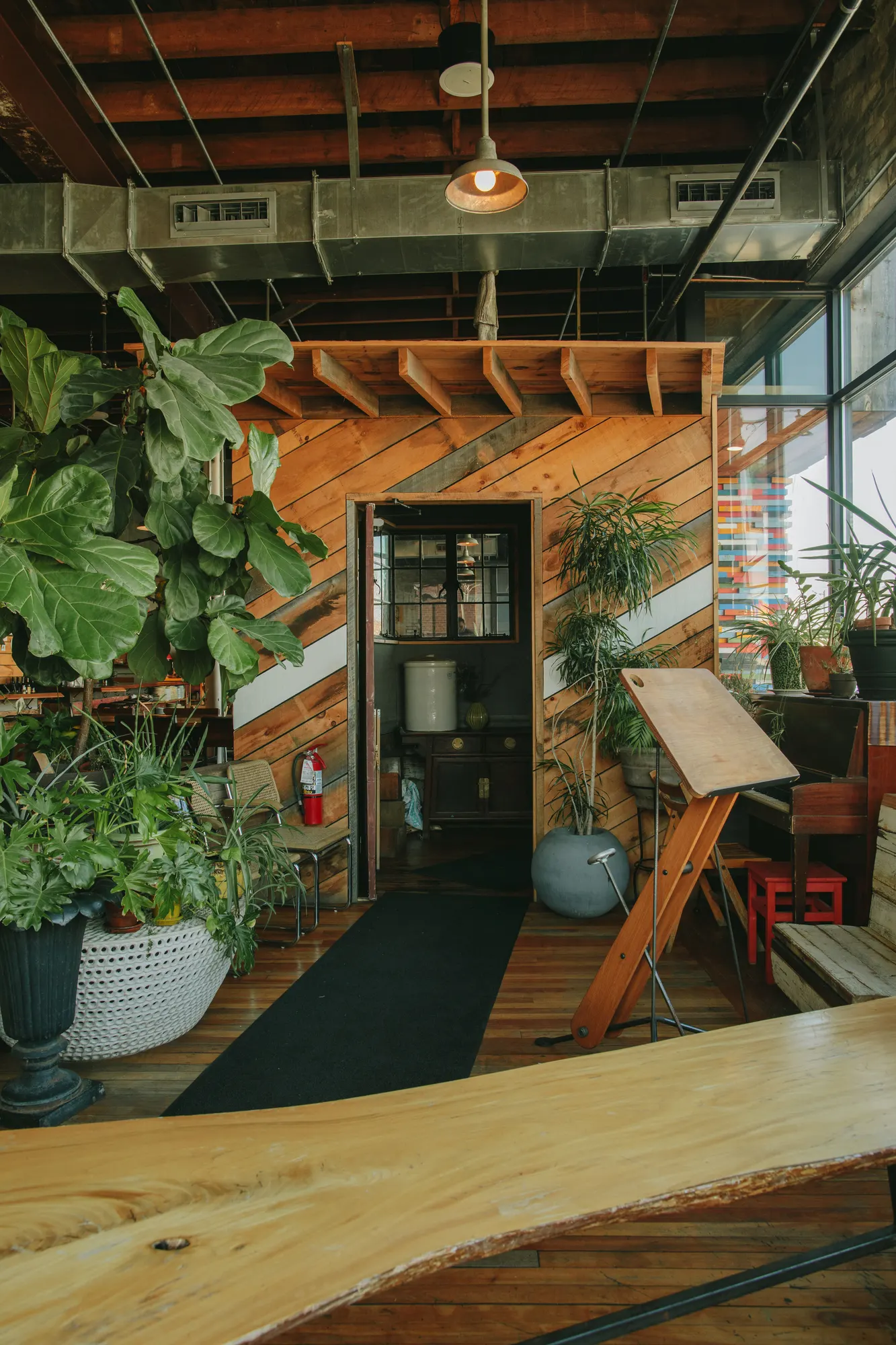 Planting and a live-edge counter where the room turns toward the dining floor.
