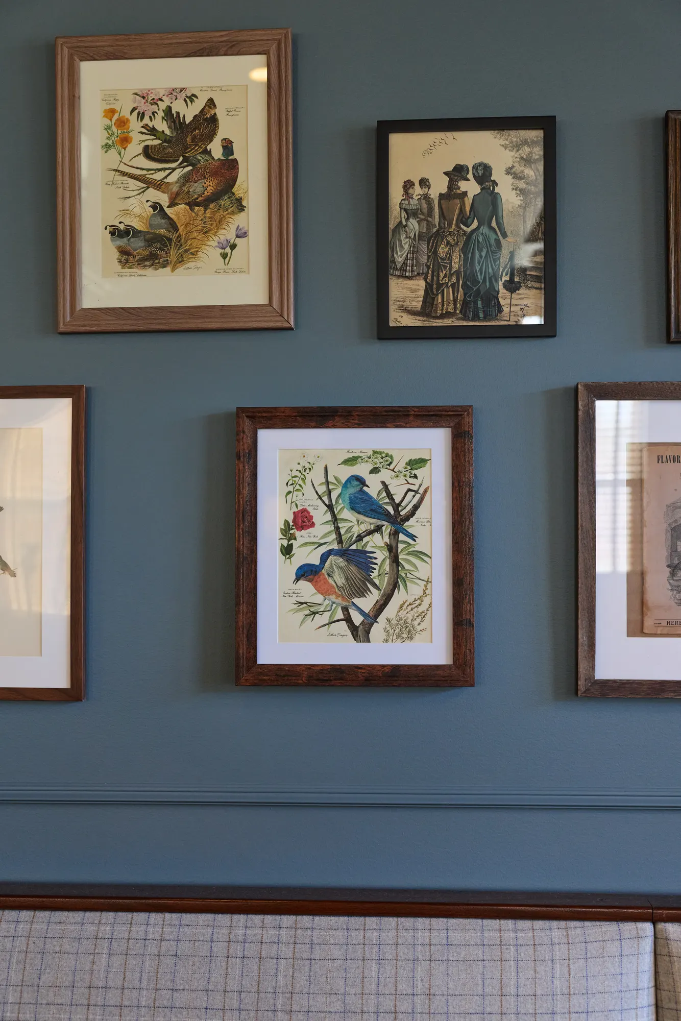 Framed prints of pheasants, bluebirds and two Victorian women on a blue wall above a plaid banquette.