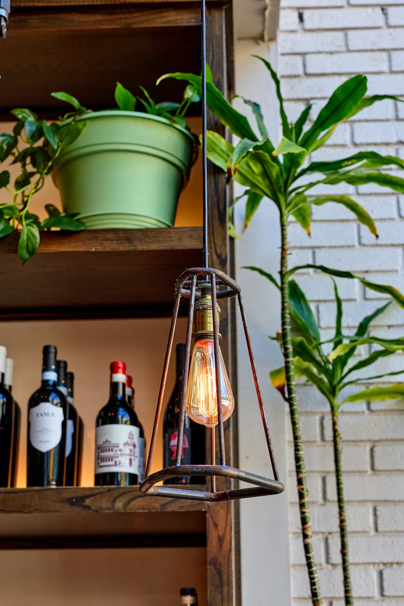 Wine bottles on a shelf beside a caged lamp and a tall plant.