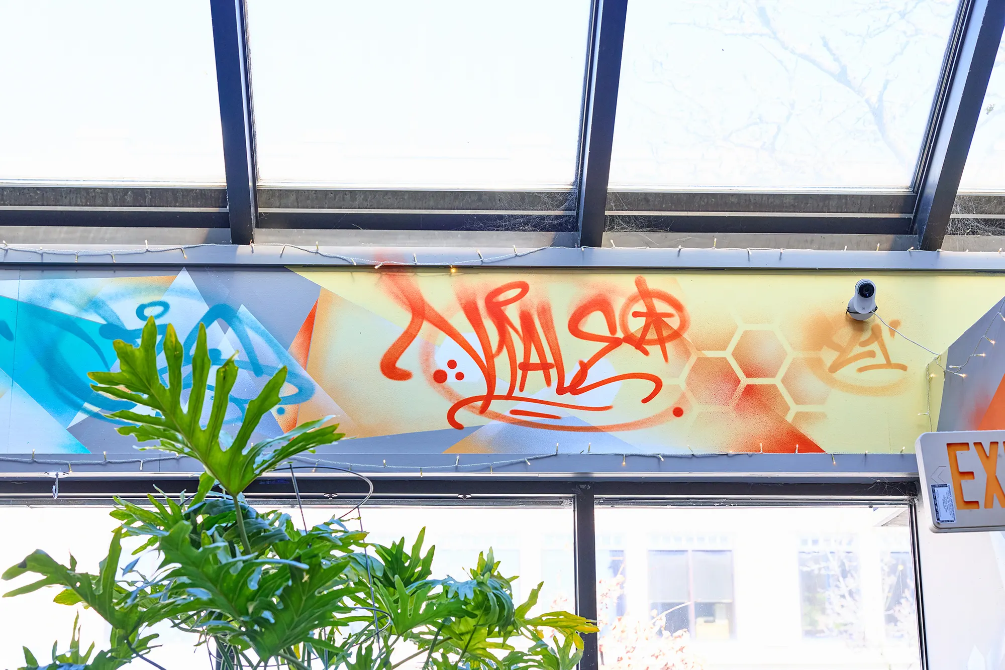 Painted lettering across the top of the window wall, above a plant.