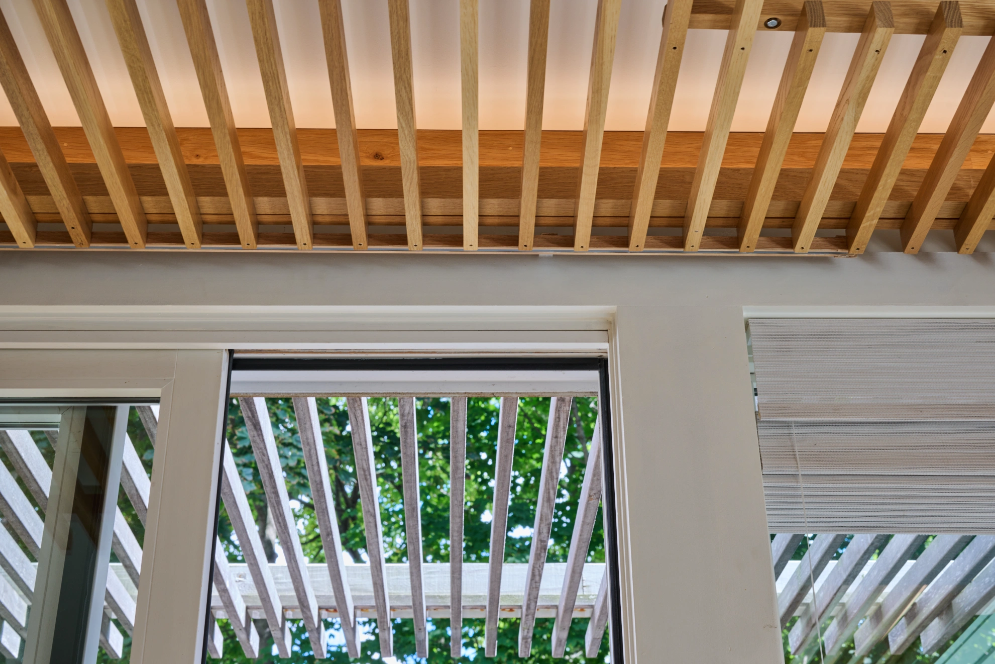 The timber slats of the pergola and the window frames, looking up from below.
